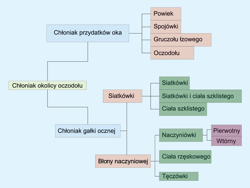 Rycina 1.Schemat podziału chłoniaków narządu wzroku omówionych w artykule.