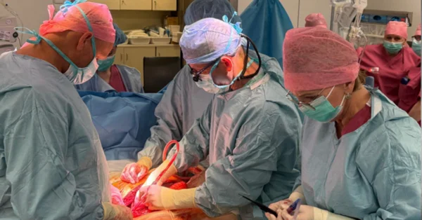 Sukces śląskich transplantologów: równoczesne przeszczepienie płuc i wątroby