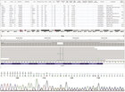 yciu programu Integrative Genomics Viewer