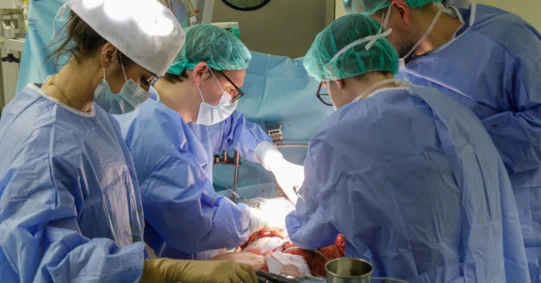 Pierwszy przeszczep wątroby z użyciem urządzenia Liver Assist
