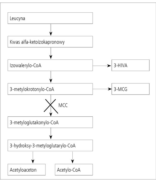 Rycina 1. Schemat przemiany leucyny z zaznaczeniem miejsca deficytu MCC.