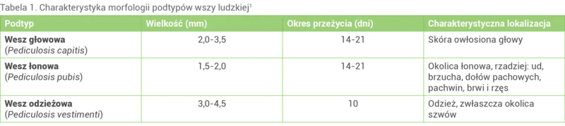 Tabela 1. Charakterystyka morfologii podtypów wszy ludzkiej1