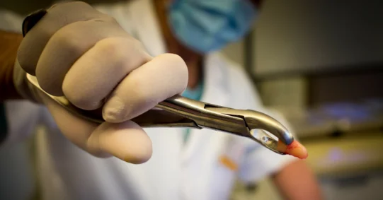 Wiosna: dentyści odcięci od specjalizacji