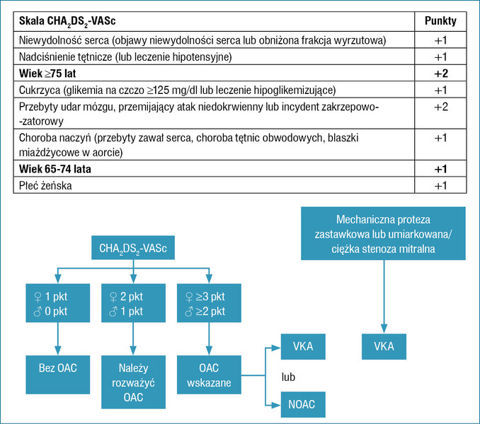 Rycina 2. Skala CHA2DS2-VASc do oceny ryzyka udaru niedokrwiennego u pacjentów z migotaniem przedsionków. Profilaktyka udaru mózgu w migotaniu przedsionków (na podstawie wytycznych ESC7)
