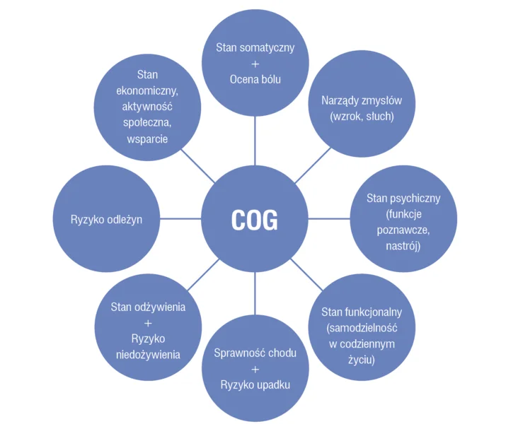 Ryc. 1. Domeny całościowej oceny geriatrycznej (COG).
