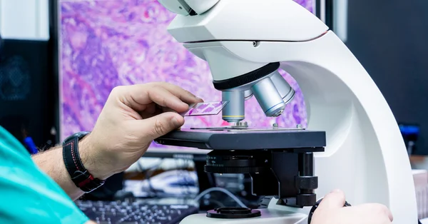 Patomorfologia nie może zostać wchłonięta przez medycynę laboratoryjną