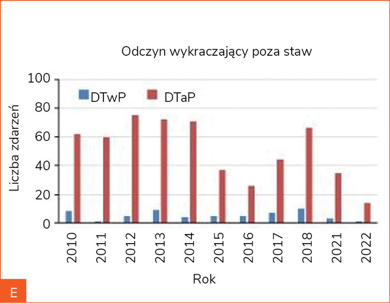 Rycina 4A-F. Porównanie częstości występowania odczynów miejscowych (odczynów miejscowych ogółem [A], obrzęku, zaczerwienienia i boleści [B], odczynów o średnicy do 10 cm [C], odczynów o średnicy powyżej 10 cm [D], odczynów wykraczających poza staw [E] oraz odczynów utrzymujących się ponad 3 dni [F]) po podaniu szczepionek z pełnokomórkowym (DTwP) i bezkomórkowym (DTaP) komponentem krztuścowym dostępnych na polskim rynku w poszczególnych latach
