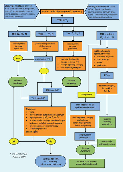 Rycina 1. Algorytm postępowania diagnostyczno-terapeutycznego w&nbsp;przypadku niedoczynności tarczycy