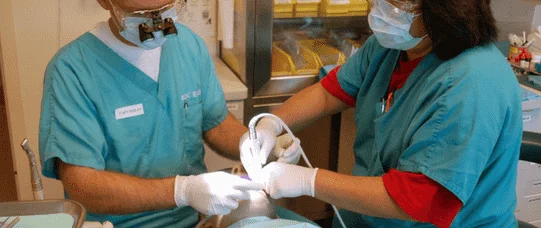 NRL: Dobrze, że mniej osób dostanie się na stomatologię