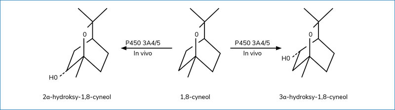 Rycina 1. Metabolizm 1,8-cyneolu (na podstawie 12 pozycji piśmiennictwa, zmodyfikowano)