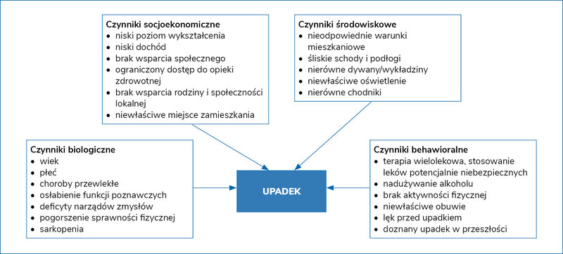 Rycina 1. Grupy czynników ryzyka upadku u osób starszych3