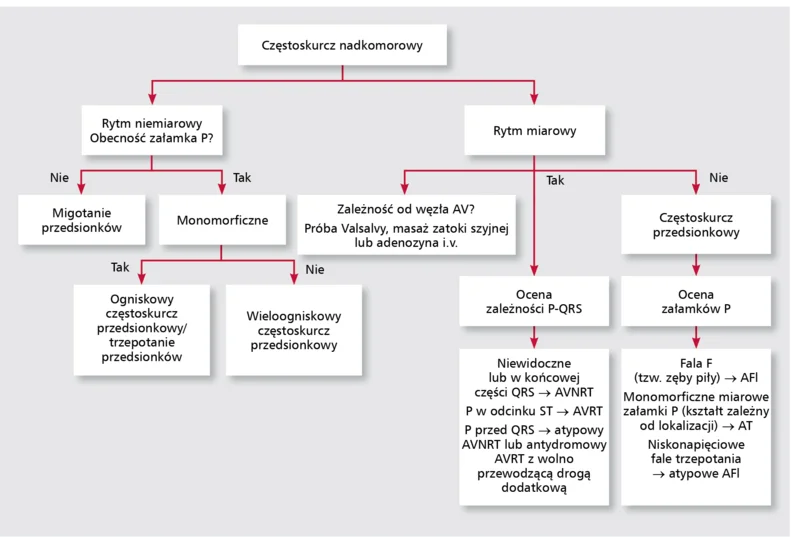Rycina 6. Algorytm różnicowania częstoskurczów nadkomorowych.