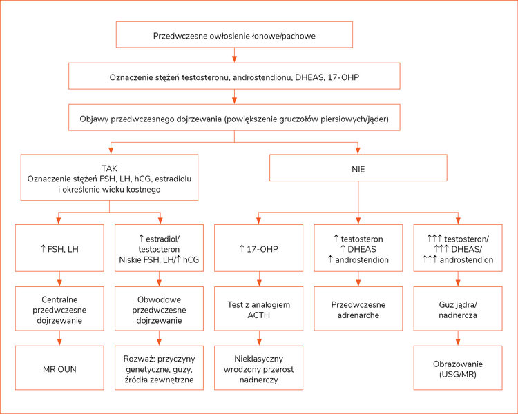 Rycina 3. Algorytm diagnostyczny hiperandrogenizmu w okresie dzieciństwa16