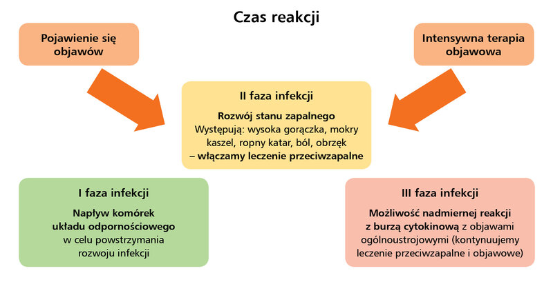 Rycina 1. Schematyczne przedstawienie faz infekcji i istotności czasu reakcji (opracowanie własne)