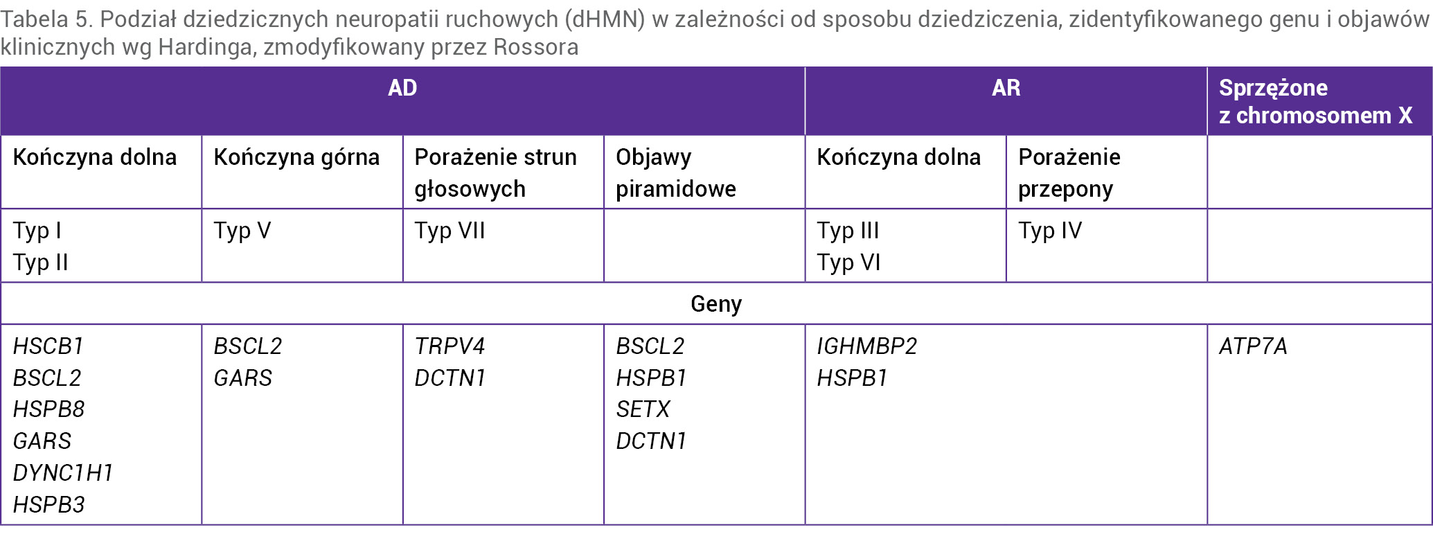 Tabela 5. Podział dziedzicznych neuropatii ruchowych (dHMN) w zależności od sposobu dziedziczenia, zidentyfikowanego genu i objawów klinicznych wg Hardinga, zmodyfikowany przez Rossora