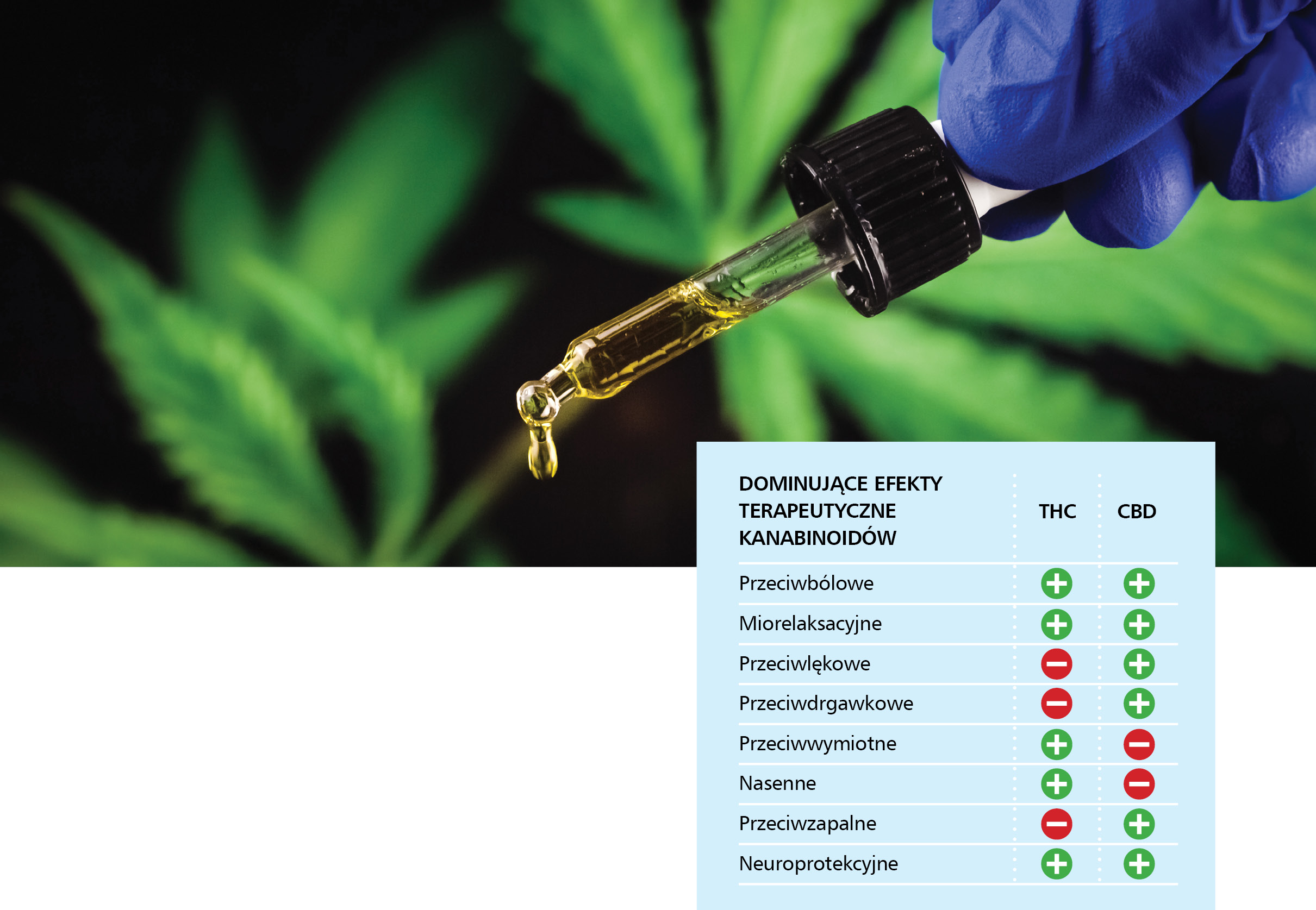 Medyczna marihuana – co lekarz POZ powinien o niej wiedzieć