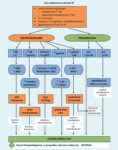 Rycina 1. Algorytm postępowania w przypadkowo wykrytych guzach nadnerczy (incydentaloma)