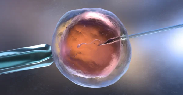 Nowy program refundacji in vitro: 166 ciąż od czerwca