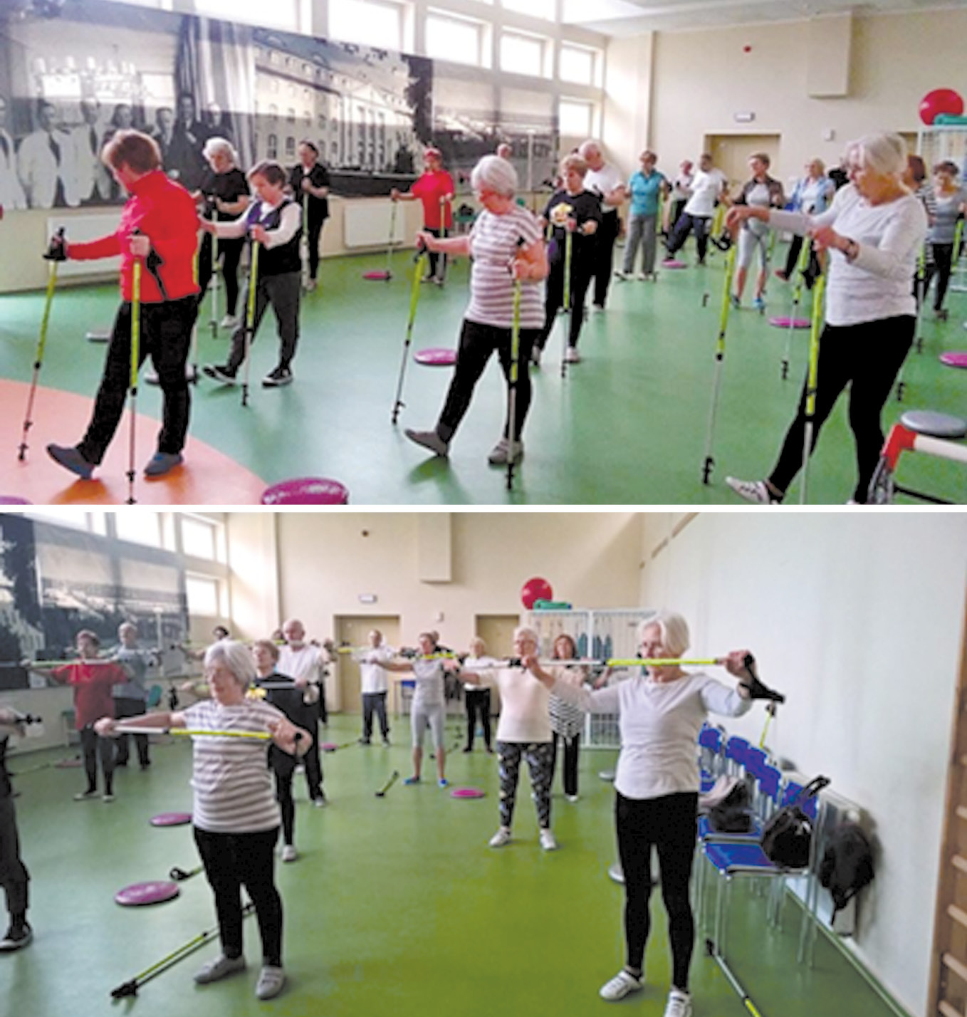 Ryc. 1-2. Trening zdrowotny sensomotoryczny seniorów z wykorzystaniem kijów bungy-pump. 