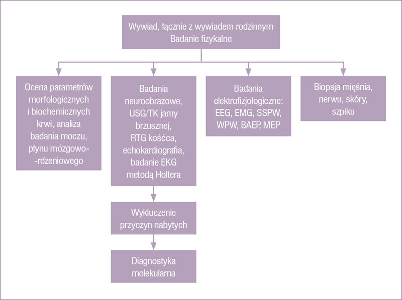 Rycina 1. Schemat postępowania z chorym z objawami neurologicznymi
