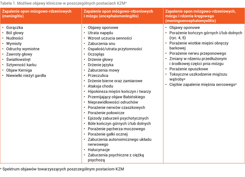 Tabela 1. Możliwe objawy kliniczne w poszczególnych postaciach KZM4