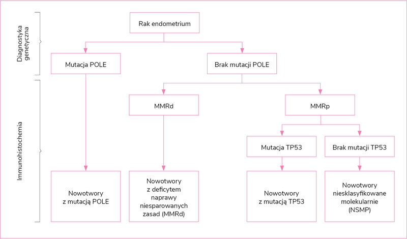 Rycina 1. Algorytm diagnostyczny umożliwiający klasyfikację histomolekularną raków endometrium13