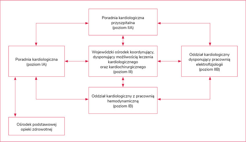 Rycina 1. Sieć kardiologiczna