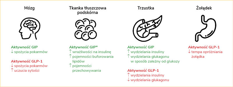 Rycina 1. Wpływ glukagonopodobnego peptydu 1 (GLP-1) oraz glukozozależnego peptydu insulinotropowego (GIP) na działanie narządów kluczowych dla homeostazy energetycznej organizmu i gospodarki węglowodanowej