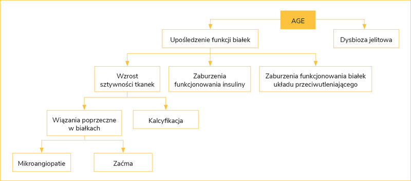 Rycina 2. Bezpośrednie oddziaływanie glikacji i jej konsekwencje dla ustroju