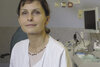 rof. Małgorzata Wierzbicka