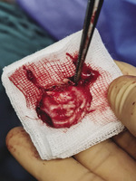 Small photo 2022 01 01 13 26 opt