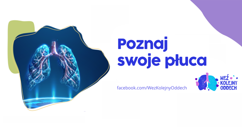 Obrazek news