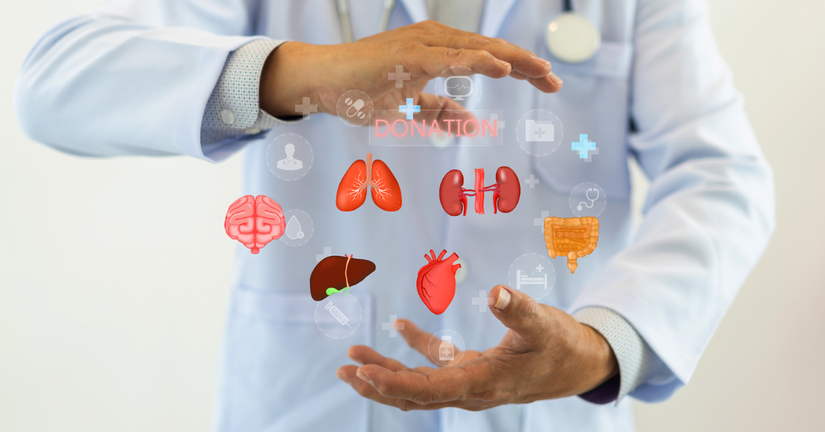 Bez nazwy %e2%80%93 kopia %e2%80%93 kopia %282%29