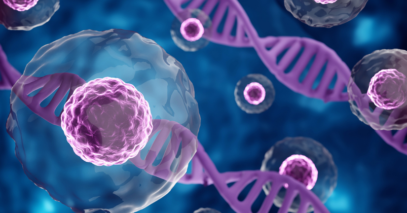 Bez nazwy %e2%80%93 kopia %e2%80%93 kopia %283%29