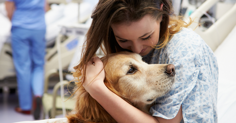 Bez nazwy %e2%80%93 kopia%2826%29