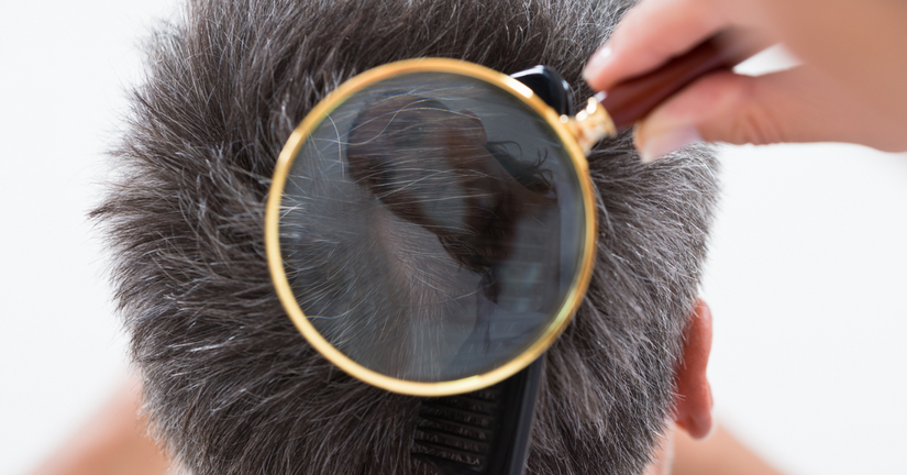 Bez nazwy %e2%80%93 kopia%2827%29