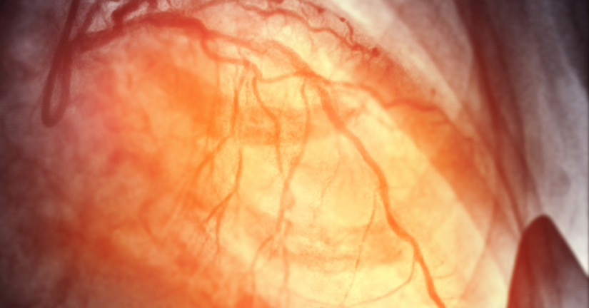 Bez nazwy %e2%80%93 kopia%2833%29