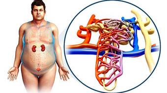 Gettyimages 670893941 612x612