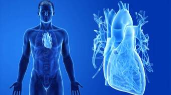 Gettyimages 1220615610 612x612