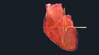 Gettyimages 1288453426 612x612