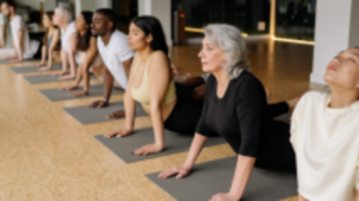 News nowy nl %e2%80%94 kopia %2830%29